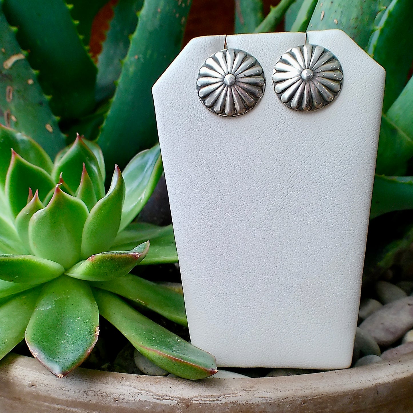 Sterling Silver Earrings