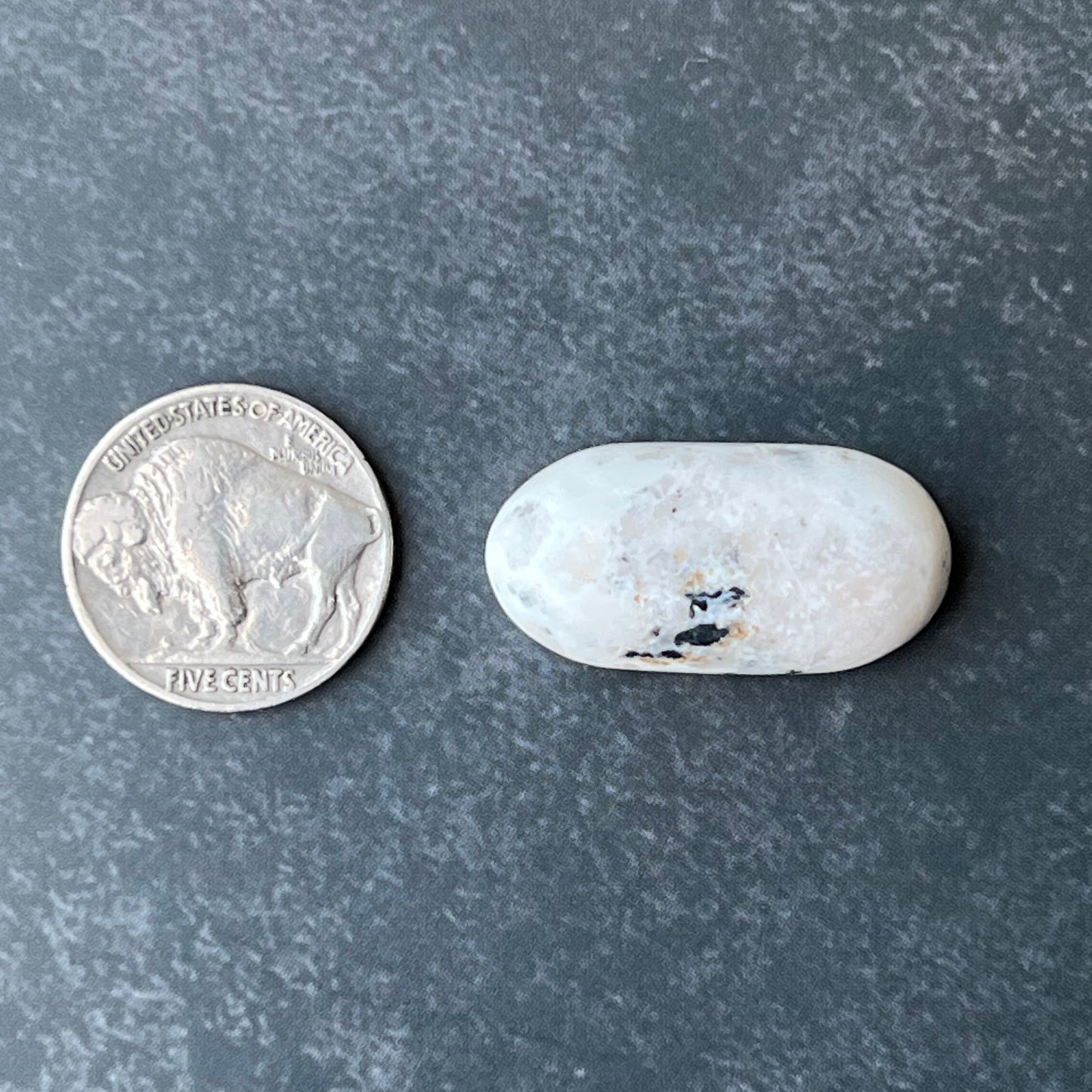 Genuine White Buffalo Cabochons — Cut from Otteson Rough by Paul Eslinger