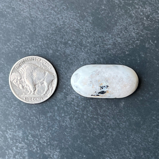 Genuine White Buffalo Cabochons — Cut from Otteson Rough by Paul Eslinger