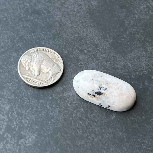 Genuine White Buffalo Cabochons — Cut from Otteson Rough by Paul Eslinger